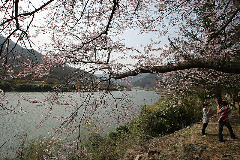 사용자 삽입 이미지