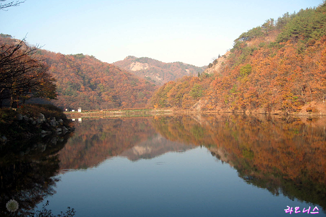 사용자 삽입 이미지