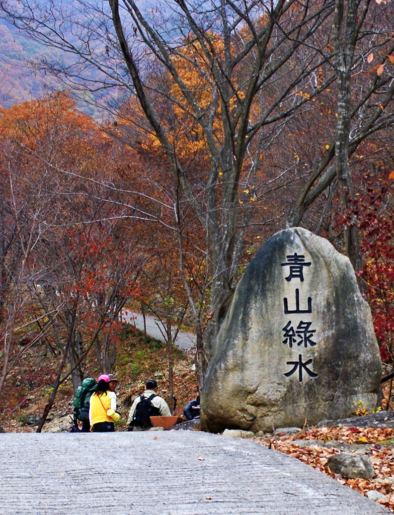 사용자 삽입 이미지
