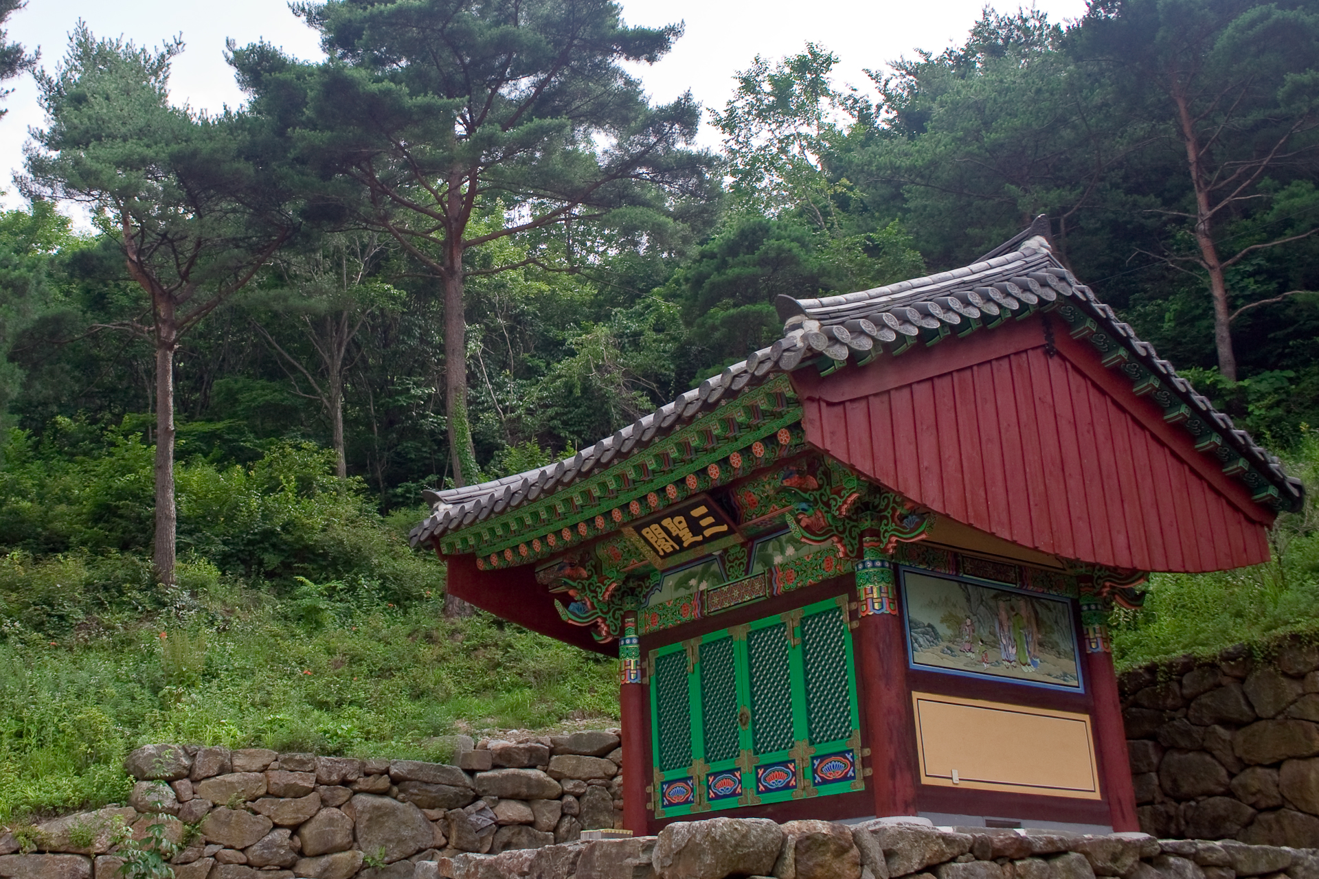 사용자 삽입 이미지