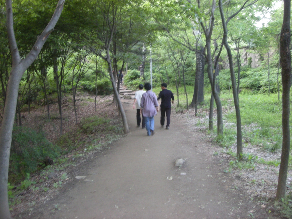 사용자 삽입 이미지