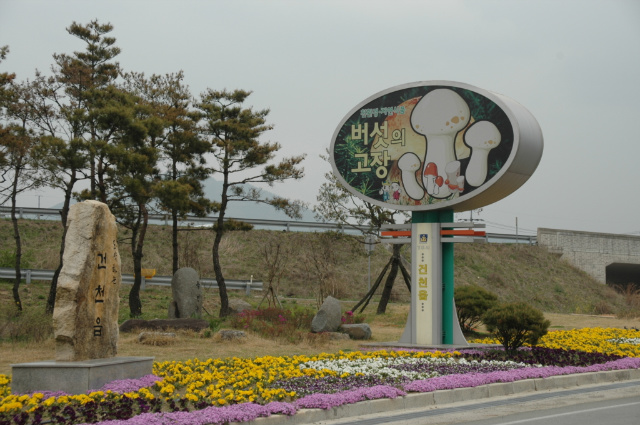 사용자 삽입 이미지