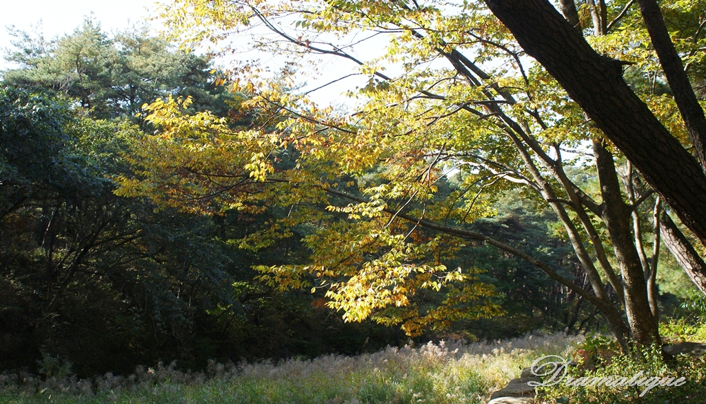 "영축산