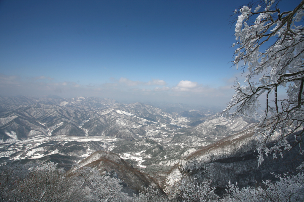 사용자 삽입 이미지