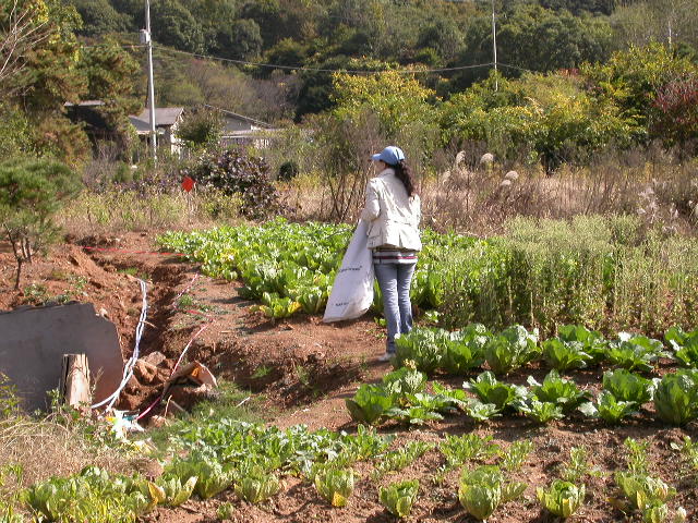 사용자 삽입 이미지