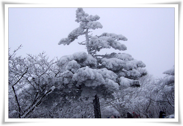태백산 눈꽃축제
