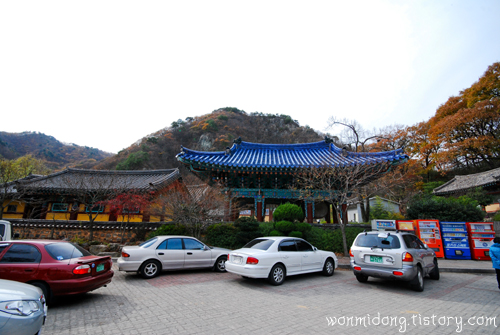 사용자 삽입 이미지
