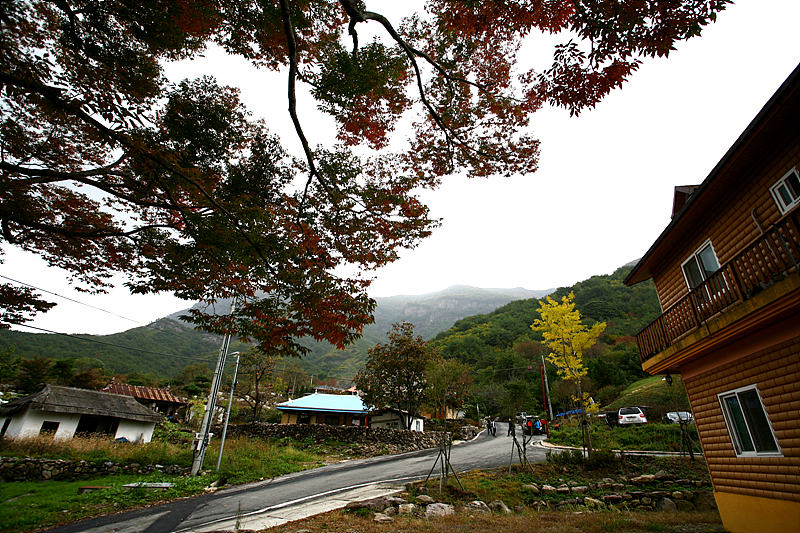 사용자 삽입 이미지