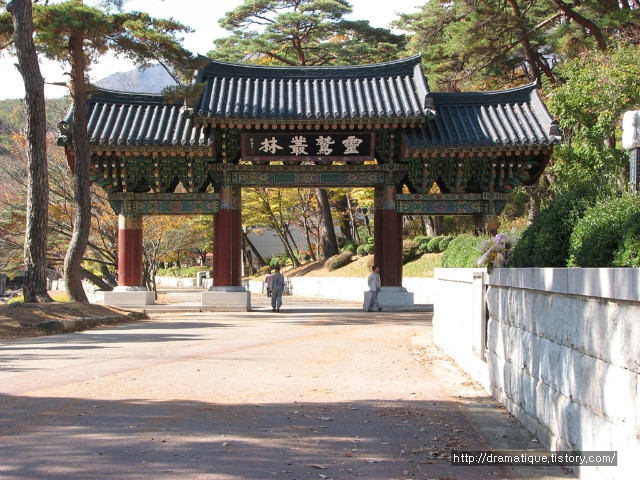 통도사 단풍