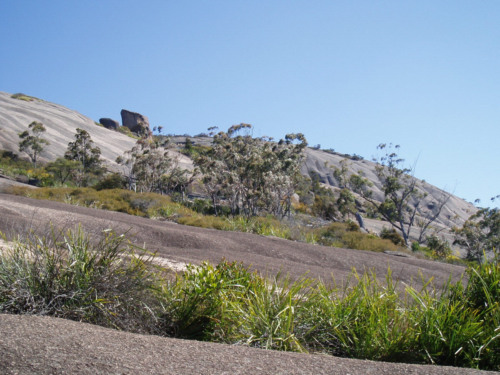 볼드락 bald rock granite 화강암