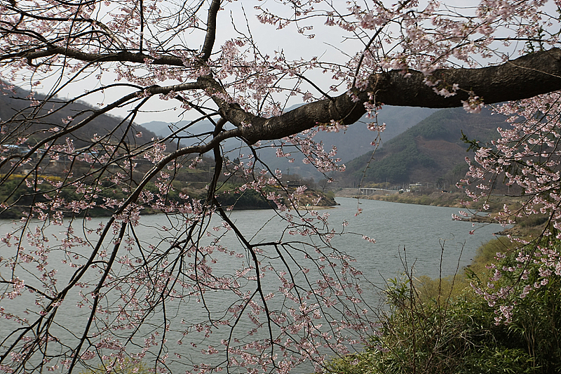 사용자 삽입 이미지