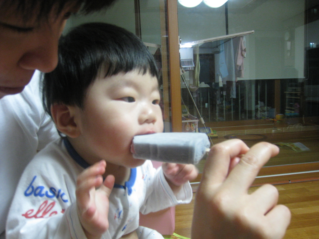 사용자 삽입 이미지