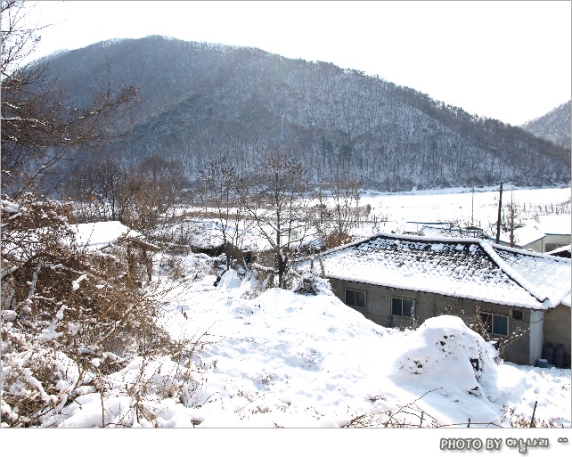 사용자 삽입 이미지