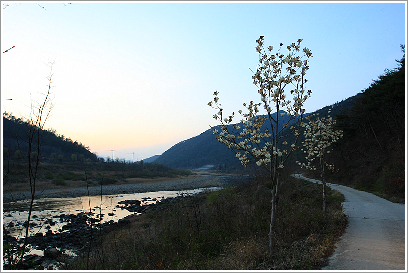 사용자 삽입 이미지