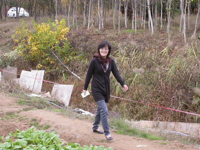 사용자 삽입 이미지