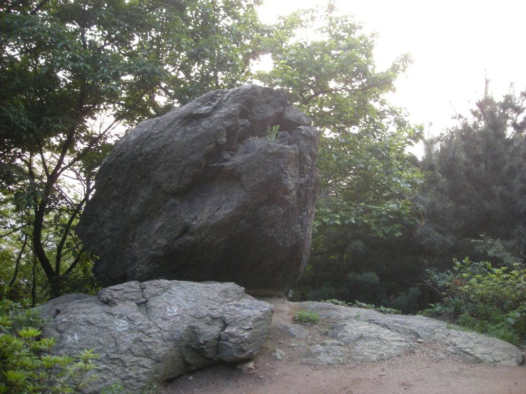 사용자 삽입 이미지