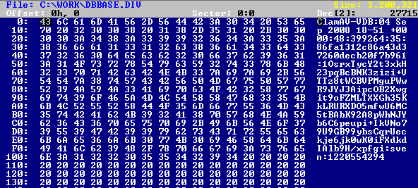 시그니처 파일인 DBBASE.DIV 내용