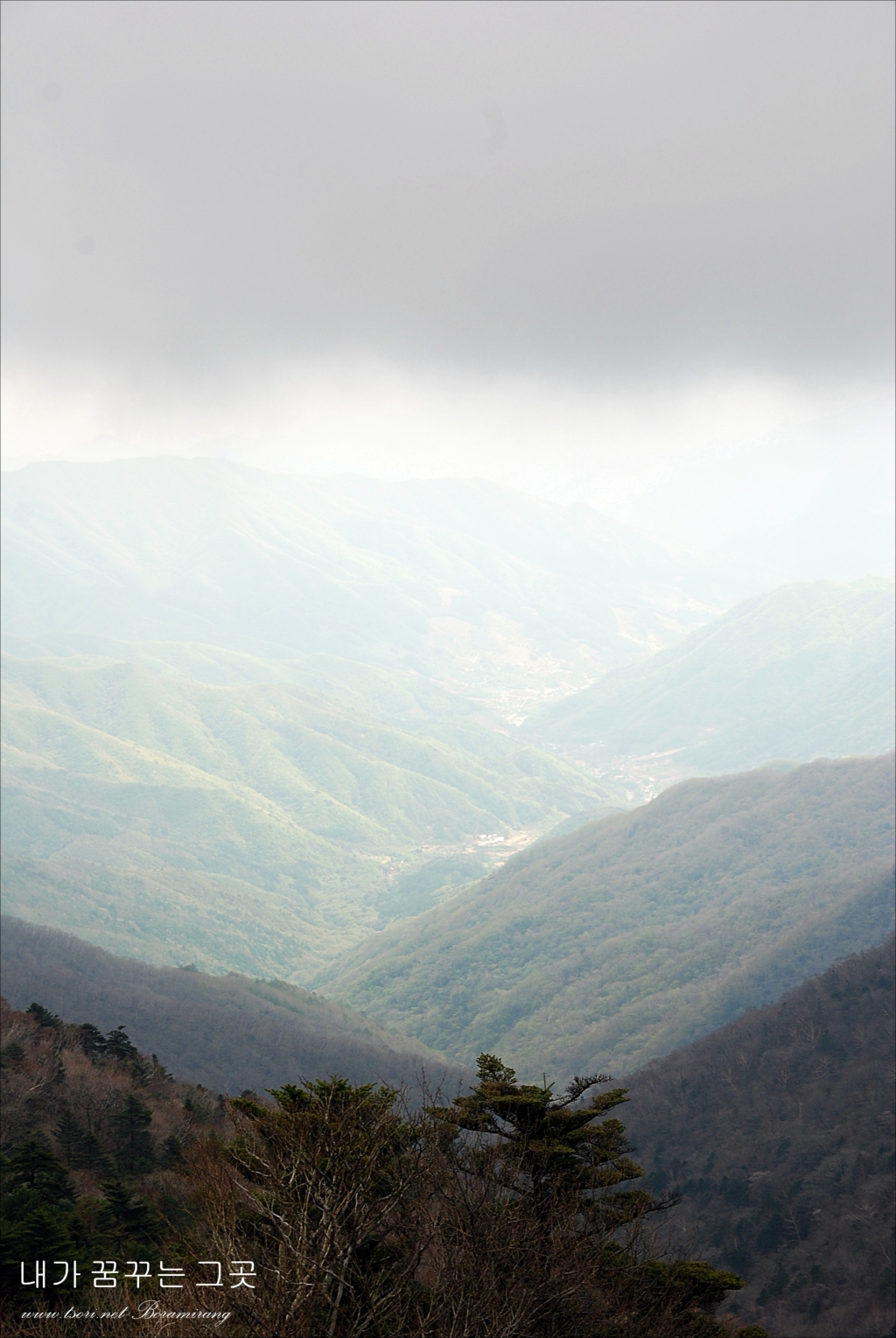 사용자 삽입 이미지