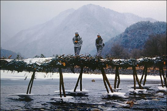 사용자 삽입 이미지