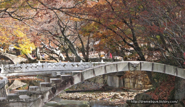 통도사 단풍