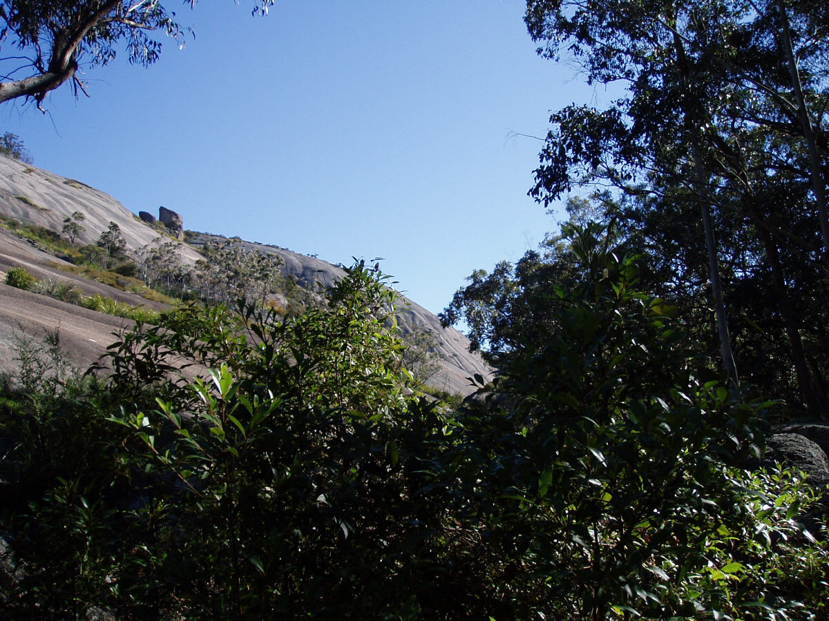 볼드락 bald rock granite 화강암