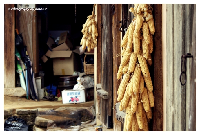외암민속마을,photogray,사진여행