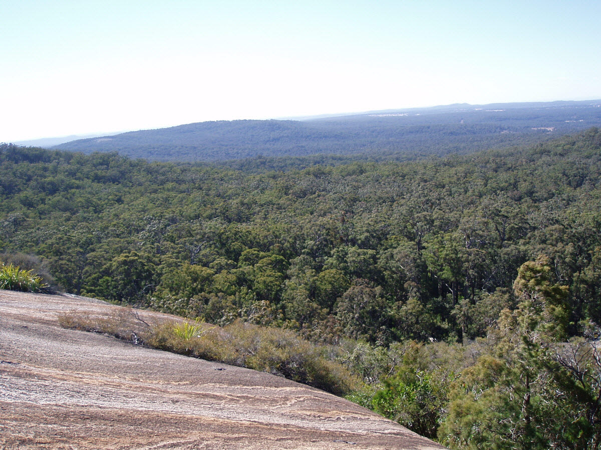 볼드락 bald rock granite 화강암