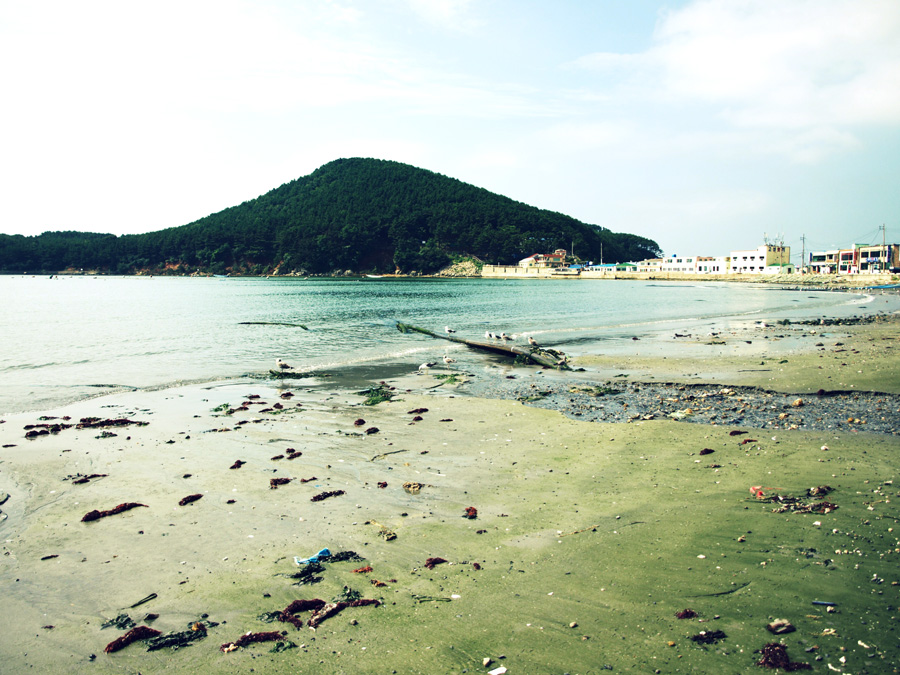 사용자 삽입 이미지