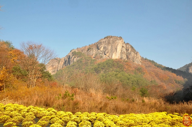 사용자 삽입 이미지