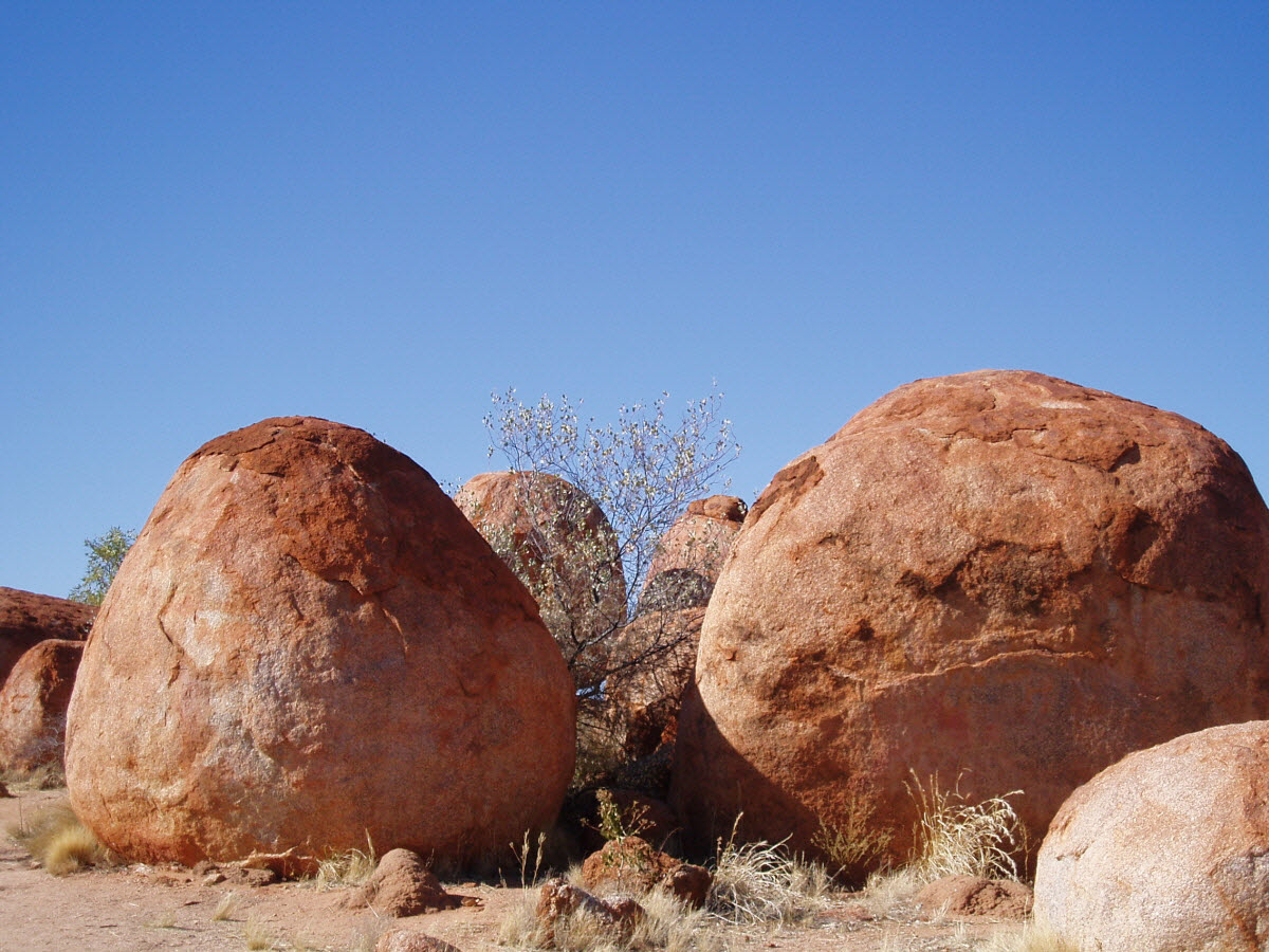 데빌스 마블 데블스 devils marbles