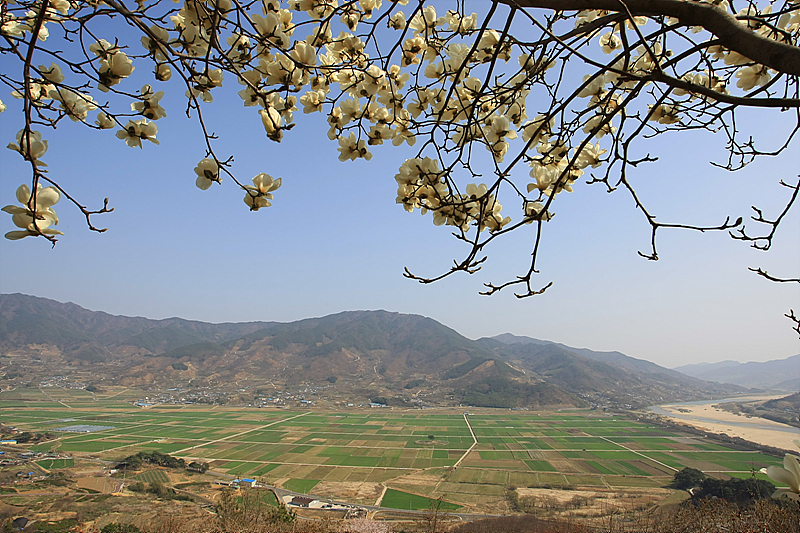 사용자 삽입 이미지