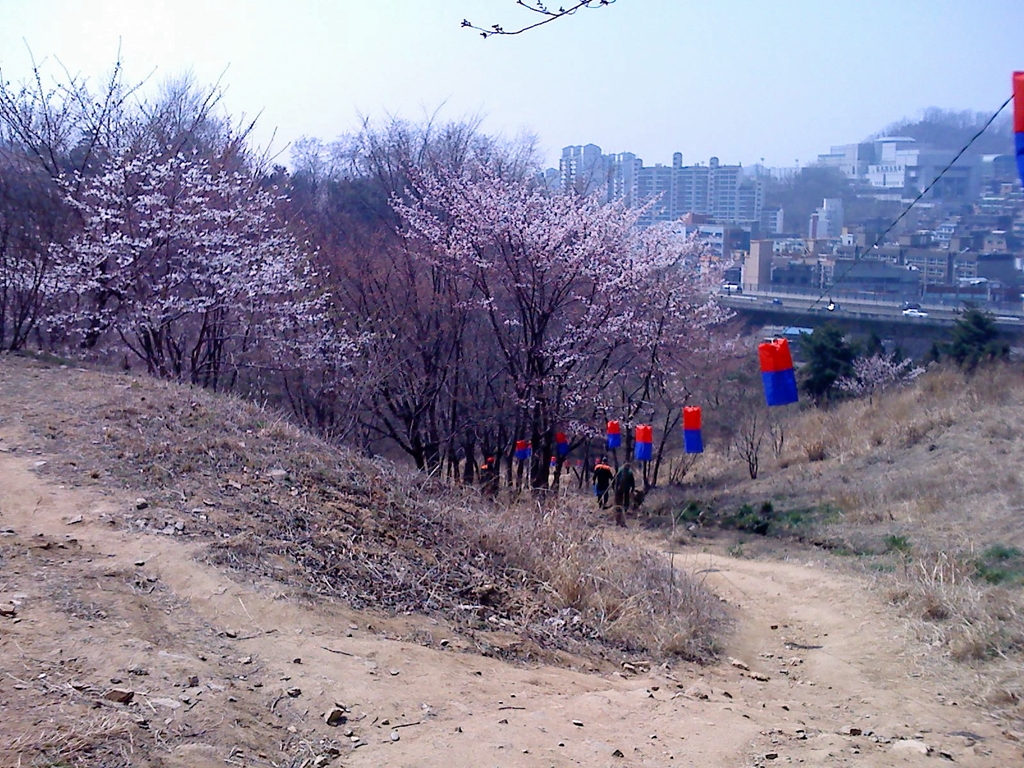 사용자 삽입 이미지