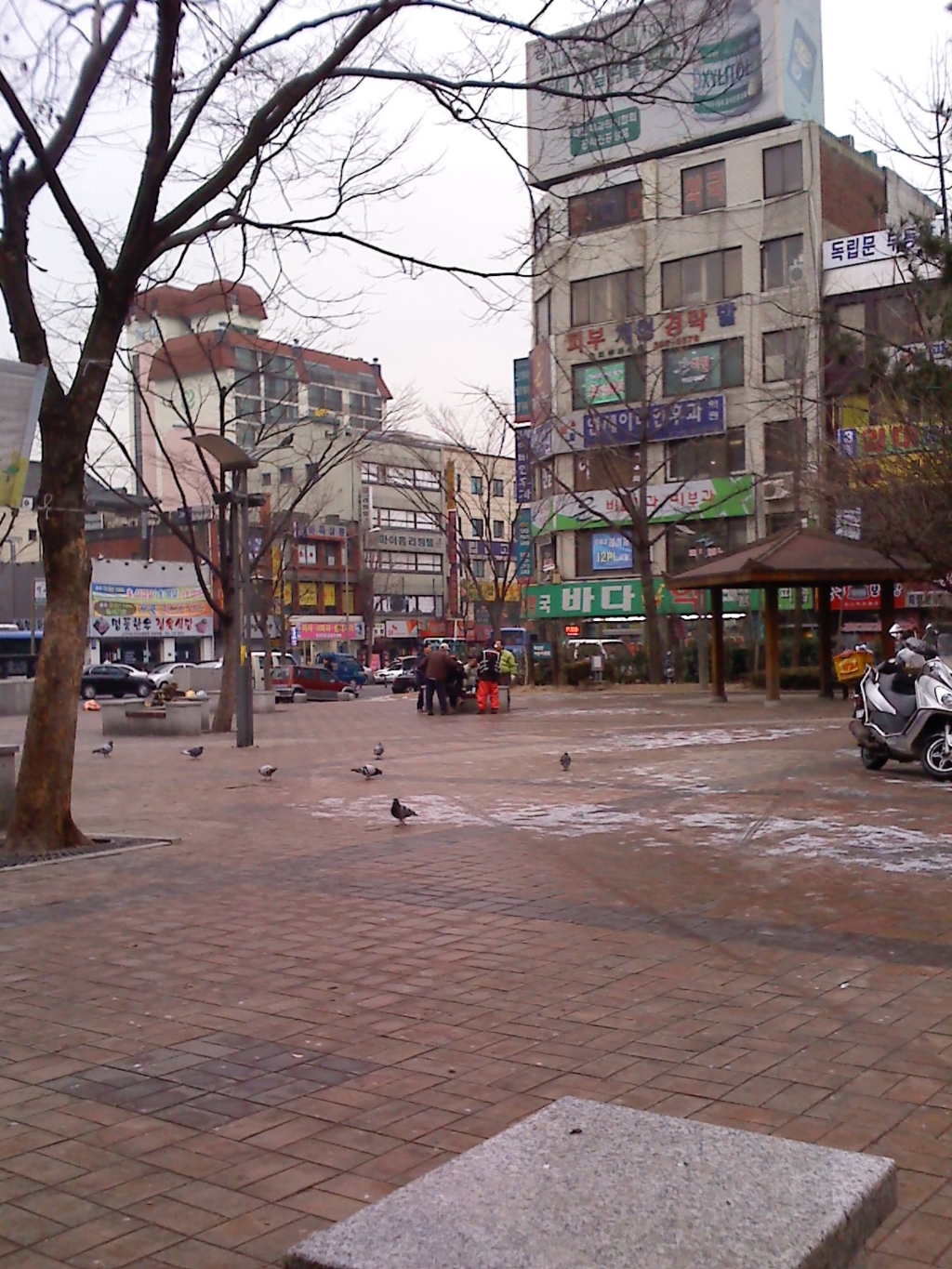 사용자 삽입 이미지