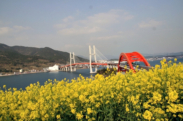 사용자 삽입 이미지