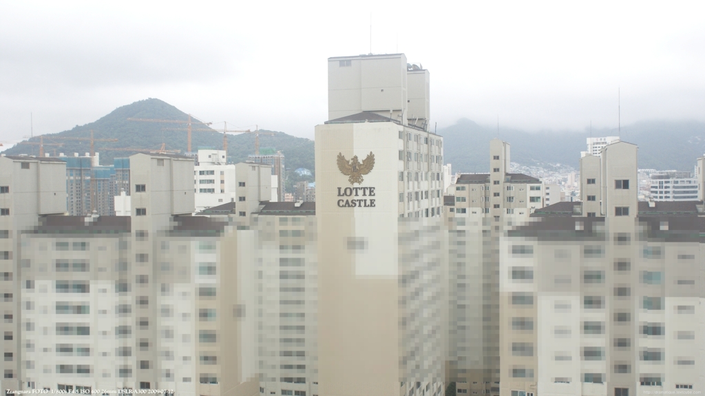 망원테스트 실제사진