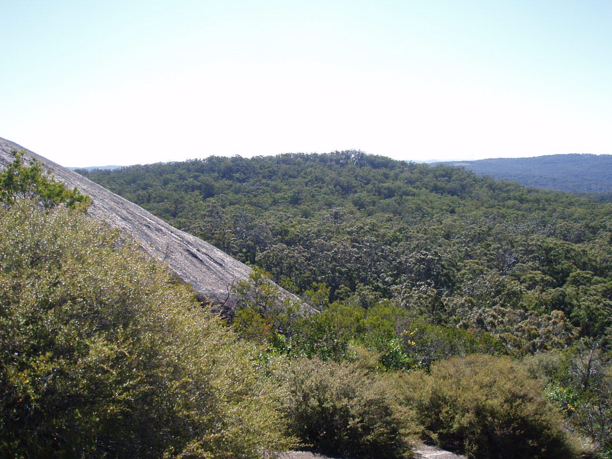 볼드락 bald rock granite 화강암