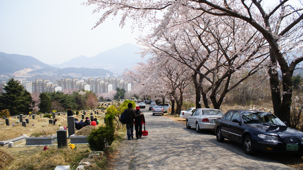 청명 한식