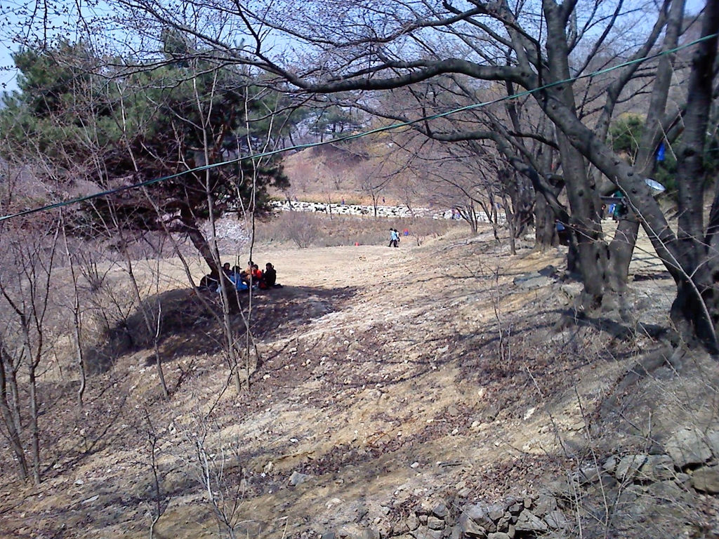 사용자 삽입 이미지