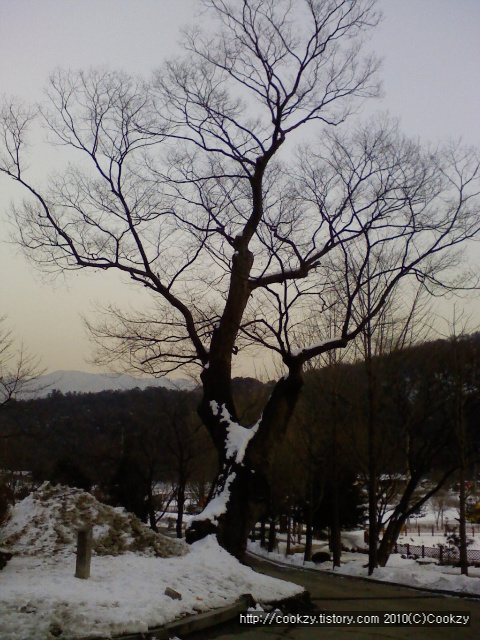 사용자 삽입 이미지