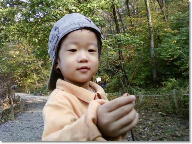 국립수목원에서