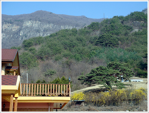 사용자 삽입 이미지