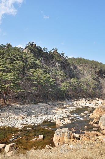 사용자 삽입 이미지