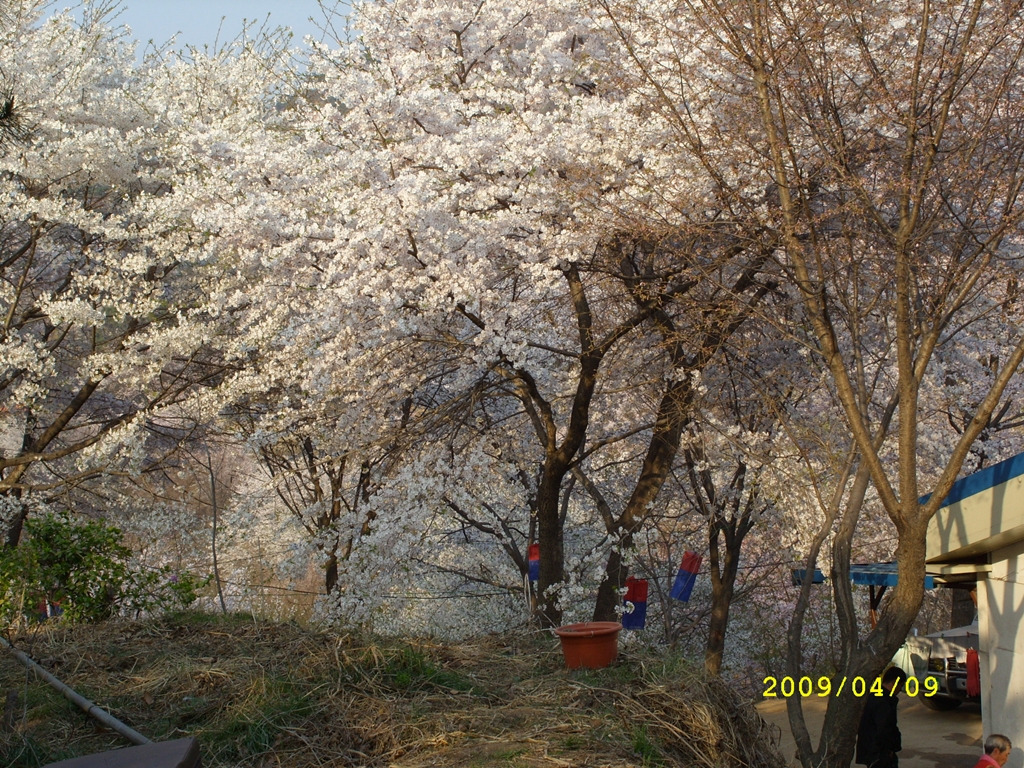 사용자 삽입 이미지