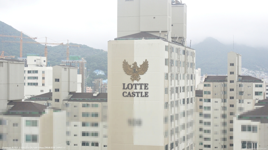 망원테스트 실제사진