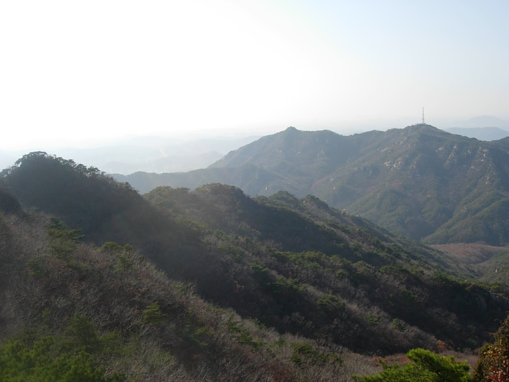사용자 삽입 이미지