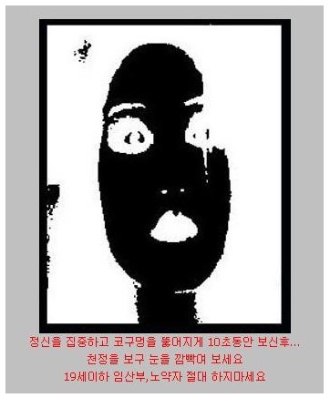 사용자 삽입 이미지