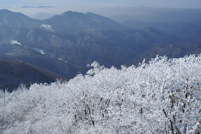 사진공모전