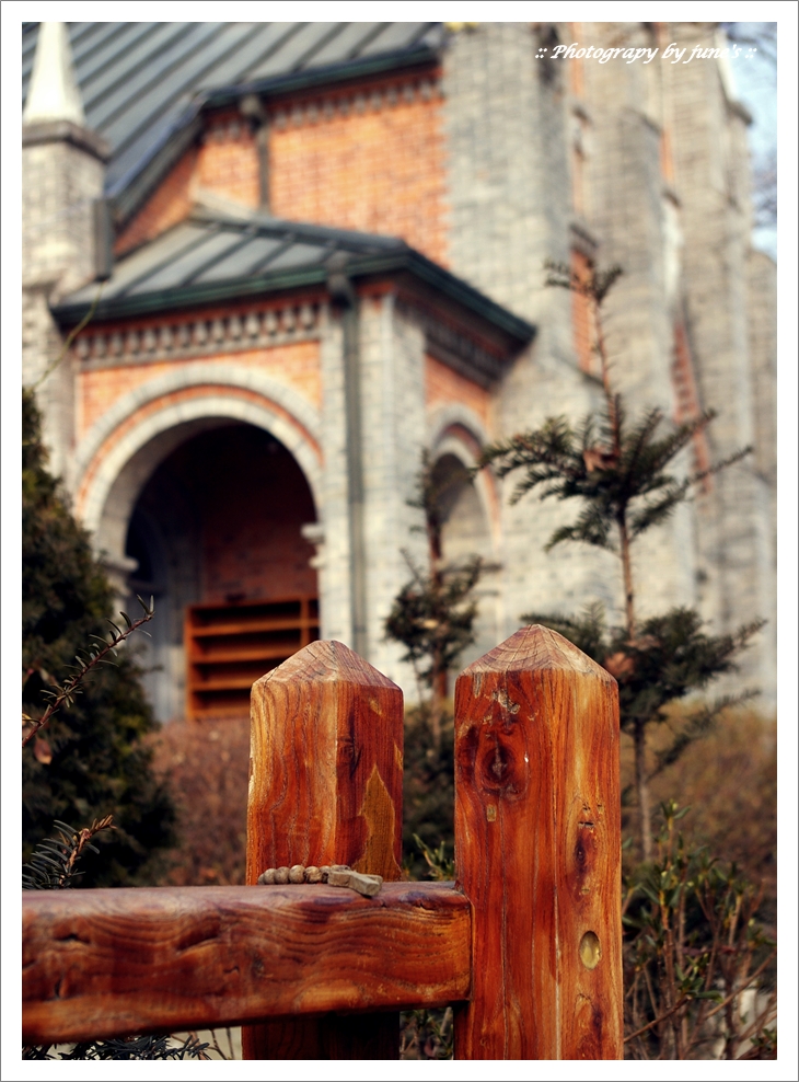 공세리성당,church,성당사진