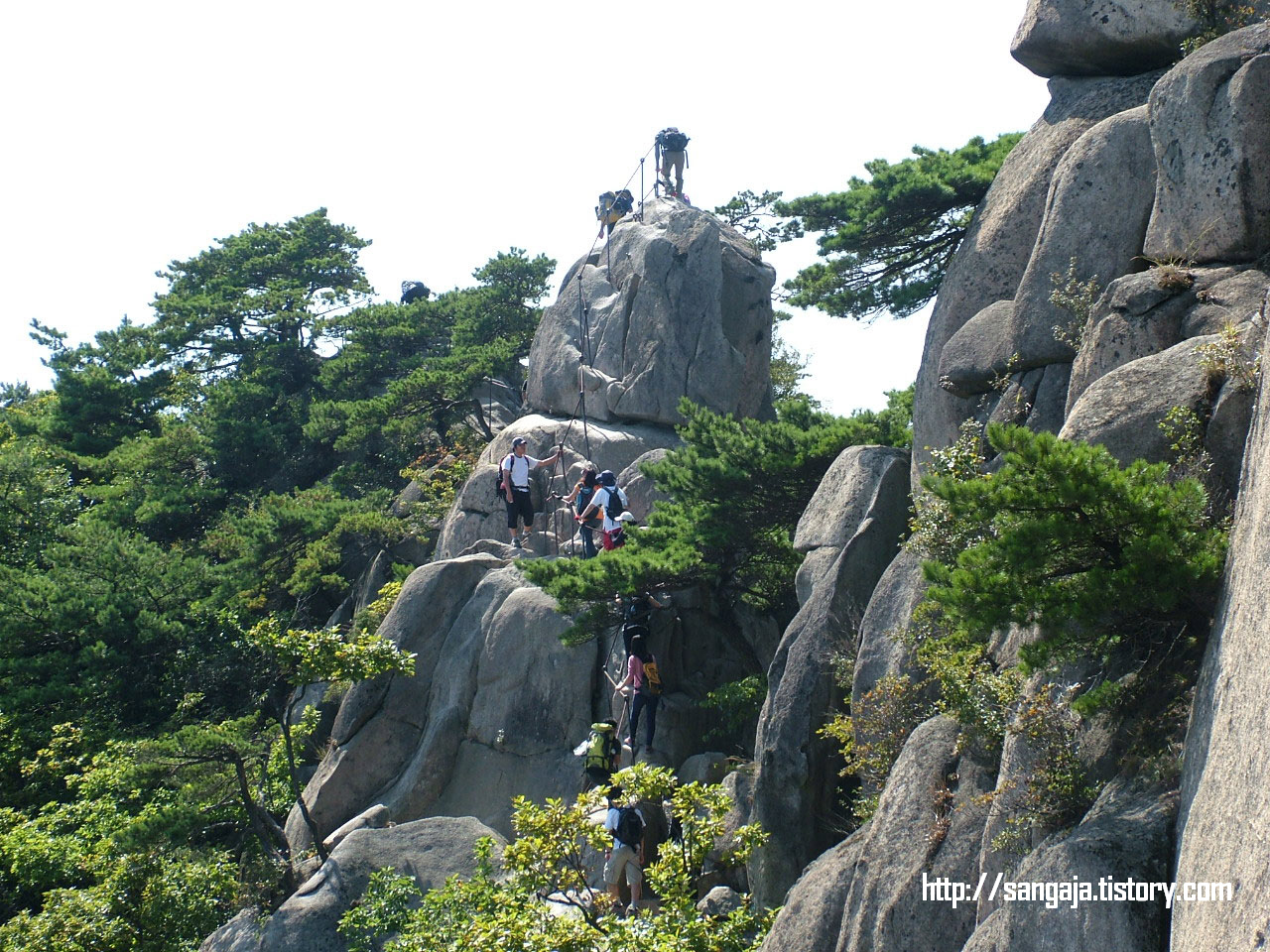 사용자 삽입 이미지