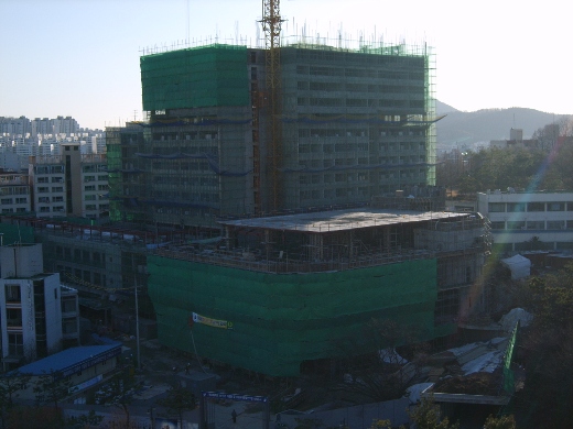 사용자 삽입 이미지
